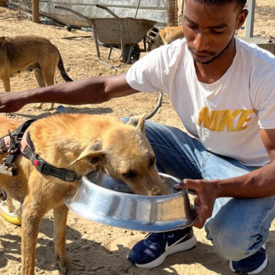 DPCT- Animals rescue